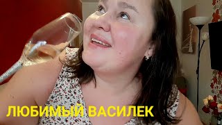 ЛЮБИМЫЙ ВАСИЛЕК💥ДЛЯ МЕНЯ КАЧЕСТВО И ЦЕНА В ПРИОРИТЕТЕ