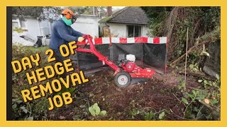 day 2 of the hedge removal job - stump grinding , a day in my life as a uk #gardener