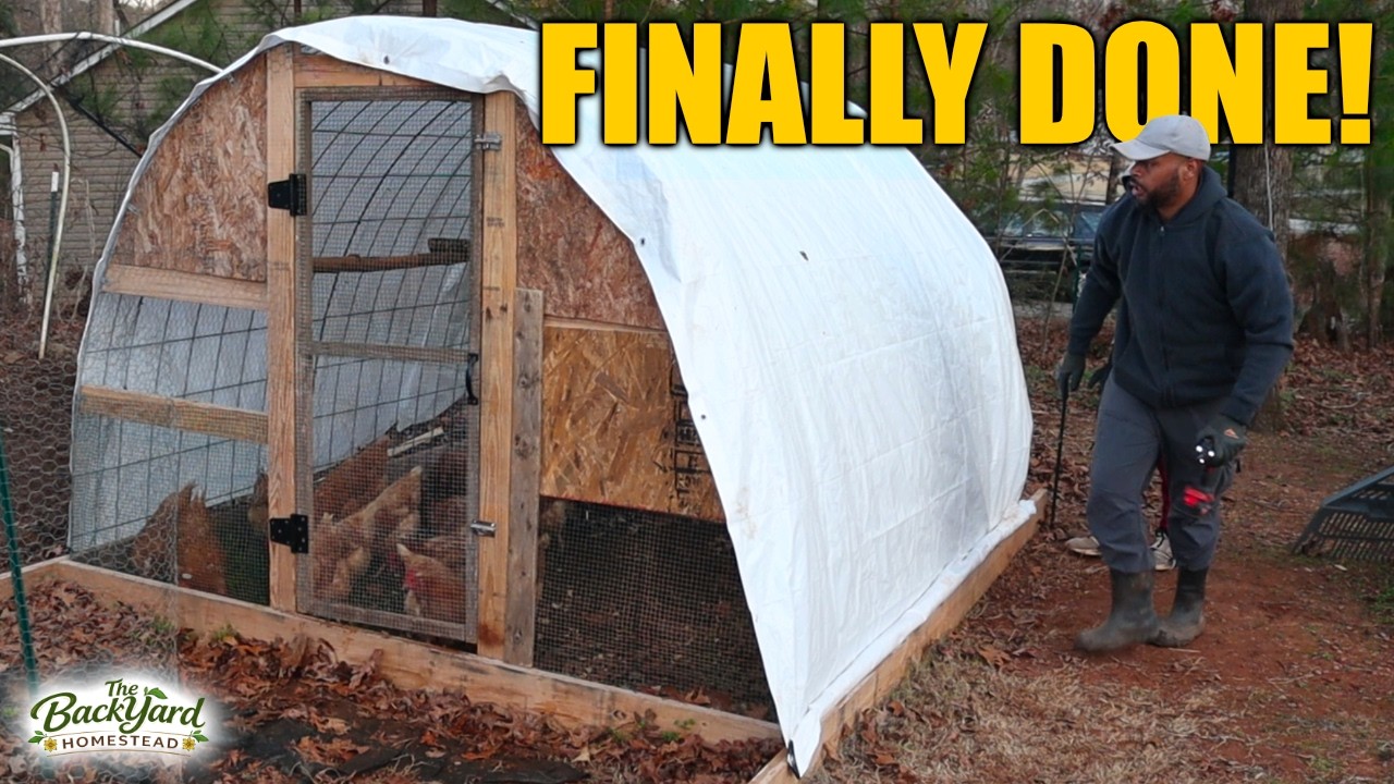 Building My First Hoop Coop | Backyard Chicken Coop Journey