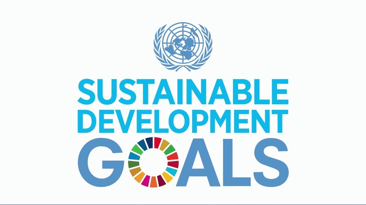 Do you know all 17 SDGs