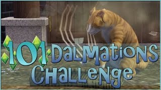 For the Love of Stray Pets || Sims 3: 101 Dalmatians Challenge  - Episode #43
