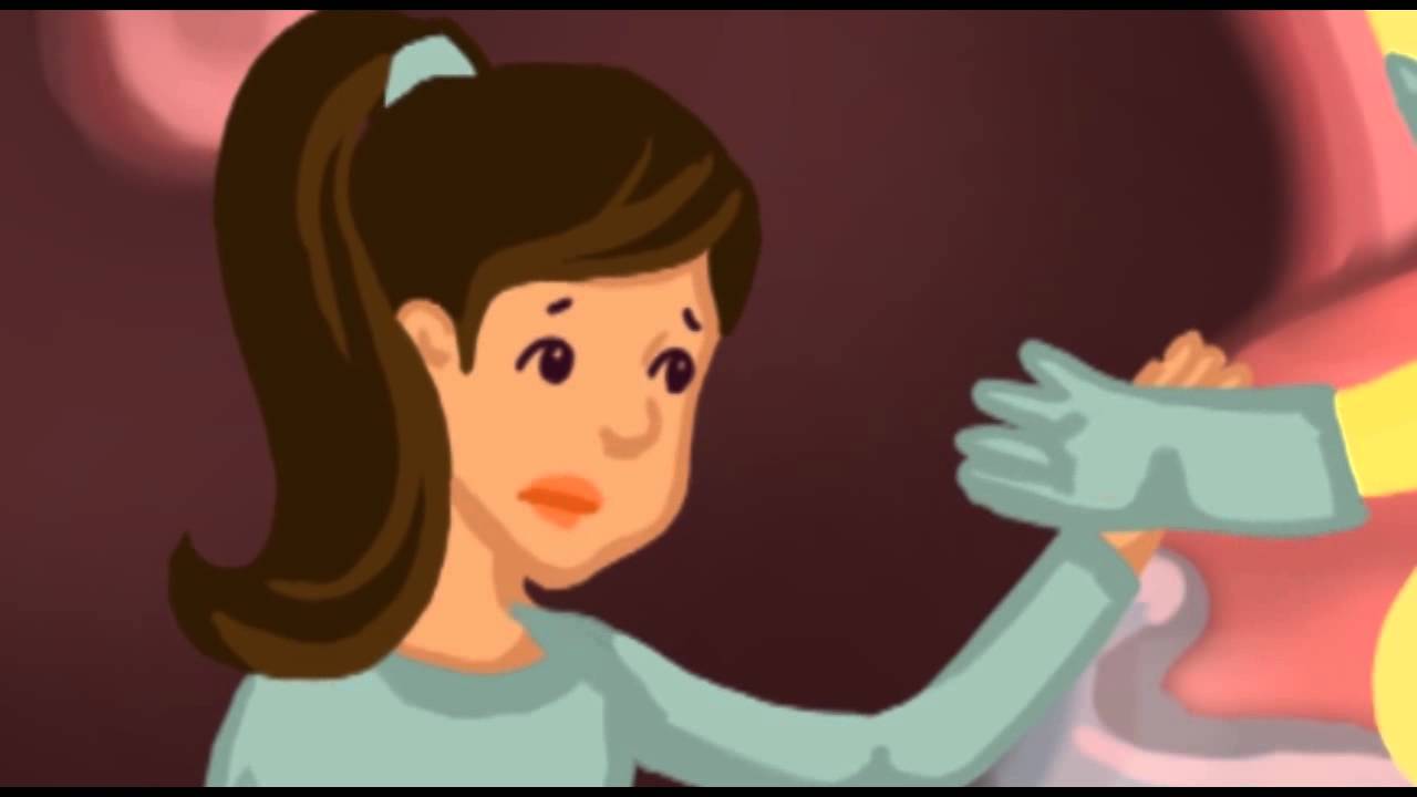 animasi pengenalan sistem pencernaan tubuh - YouTube