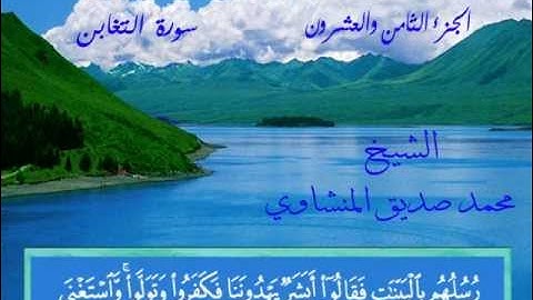 سورة التغابن -  الشيخ محمد صديق المنشاوي -  خط المصحف