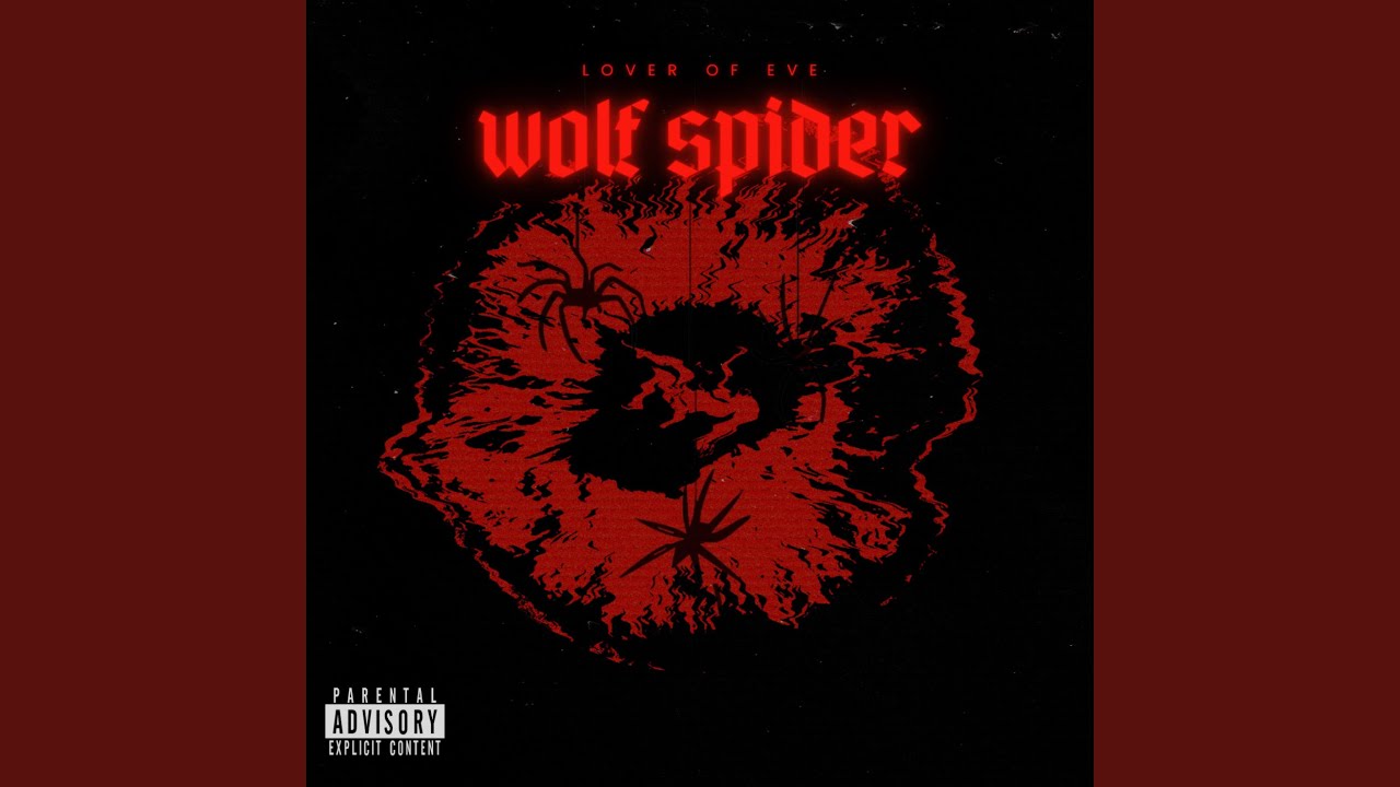 Watch Wolf Spider on YouTube Watch Wolf Spider on YouTube