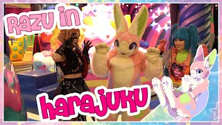 Harajuku Bunny Adventure! (Tokyo Quest: Razu's Big Adventure!) - Tokyo Japan  原宿 東京 日本