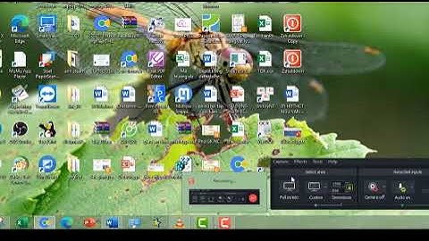 Hướng dẫn học sinh nộp bài trên LMS