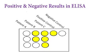 How to Interpret Positive & Negative ELISA Results | Part 2