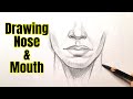 How to draw  lips and nose mouth drawing  mouth drawing tutorial step by step  drawings