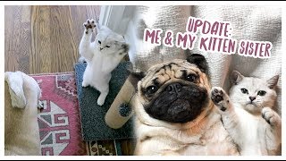 Meet My Little Sister!