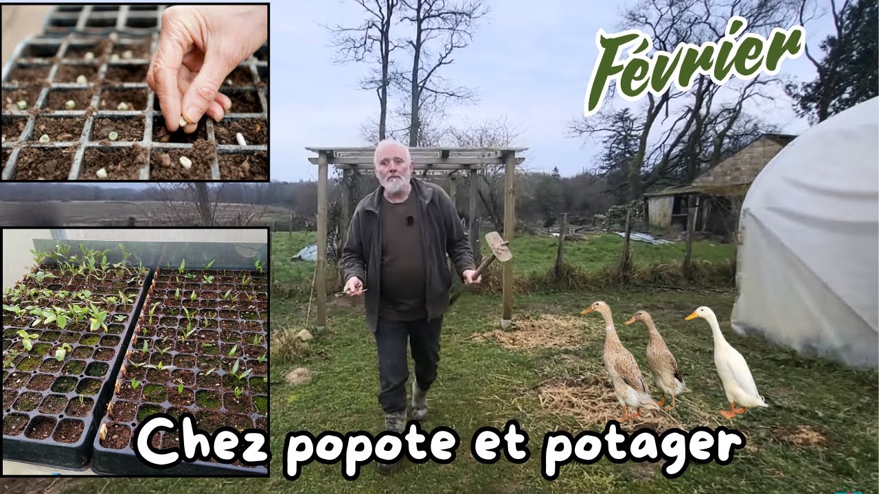 QUELS SONT LES SEMIS A FAIRE JUSQU'A FIN MARS ?