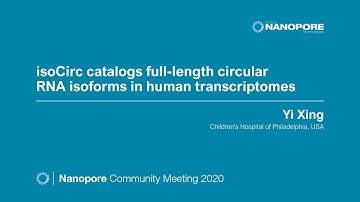 isoCirc catalogs full-length circular RNA isoforms in human transcriptomes