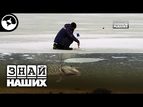 Зимняя рыбалка на щуку. Как ставить жерлицы на мелководье? Рыбинское водохранилище | Новые Диалоги ©