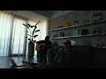 Mojes - FIRSTKISS (Live)