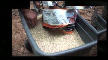 WeHuntSC.com - Planting the seed