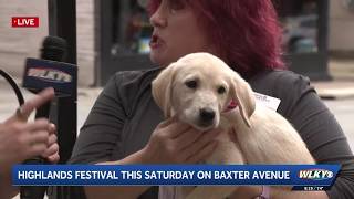 The Kentucky Humane Society will have adoptable dogs at the Highlands Festival