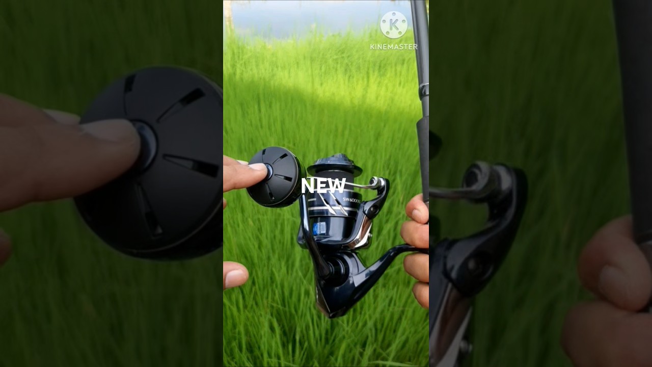 The New Shimano Stradic SW is a Masterpiece 