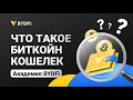 Что такое биткойн-кошелек? Полное руководство для начинающих