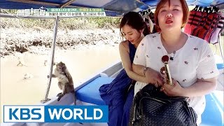 The mangrove tour, the kingdom of animals [Battle Trip / 2017.05.14]