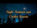 Night Ambient Sound Effect with Cricket Sounds for Sleep &amp; Relaxation | 1 Hour of Forest Ambient