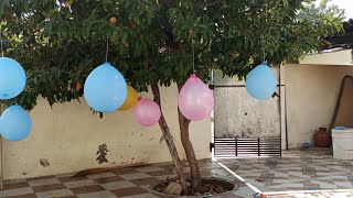 poping balloons from tree