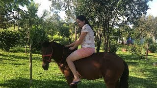 VOCÊ NÃO VAI ACREDITAR... FUI ANDAR DE CAVALO E OLHA NO QUE DEU... + TIRANDO A ARGOLA DO BOI