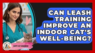 Can Leash Training Improve An Indoor Cat's Well-being? - Happy Cat Handbook