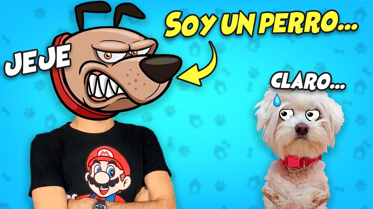 Bromas pesadas GIGANTES para hacer a tu PERRO dentro de CASA / Anima Dogs