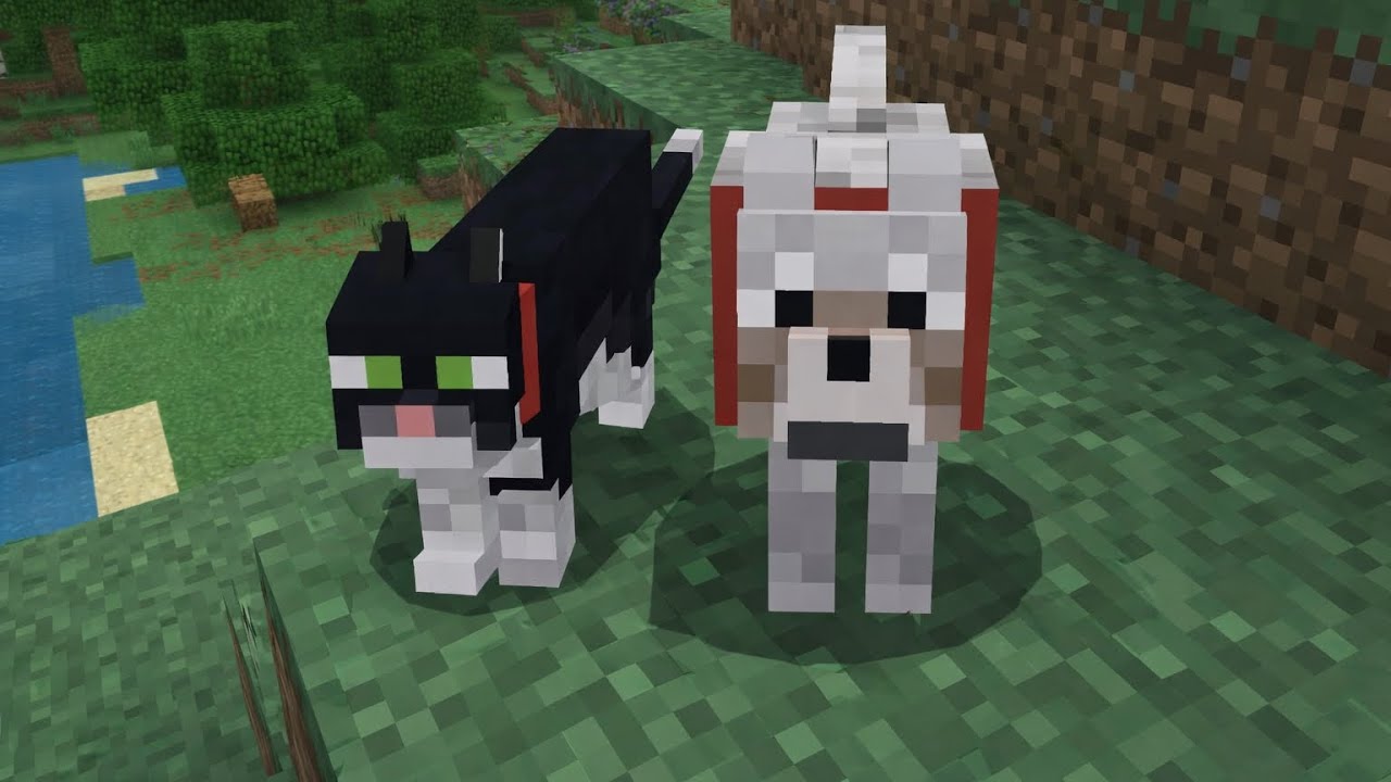 Minecraft’ta kedi ve köpek evcilleştirdim 