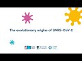 Evolutionary Origins of SARS-CoV-2