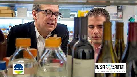 PART 2  VINO VIDEO BENJAMIN PASCAL INTERVIEW VERIFLOW WINE