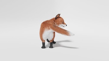 3D Fox Modeling