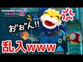 ニャンちゅうにマリオカートさせてみたwwww