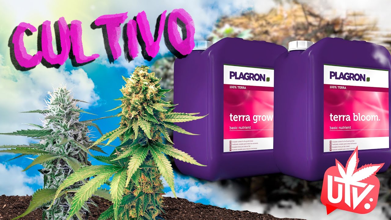 TODO lo que debes SABER sobre los FERTILIZANTES para tu CULTIVO 💧