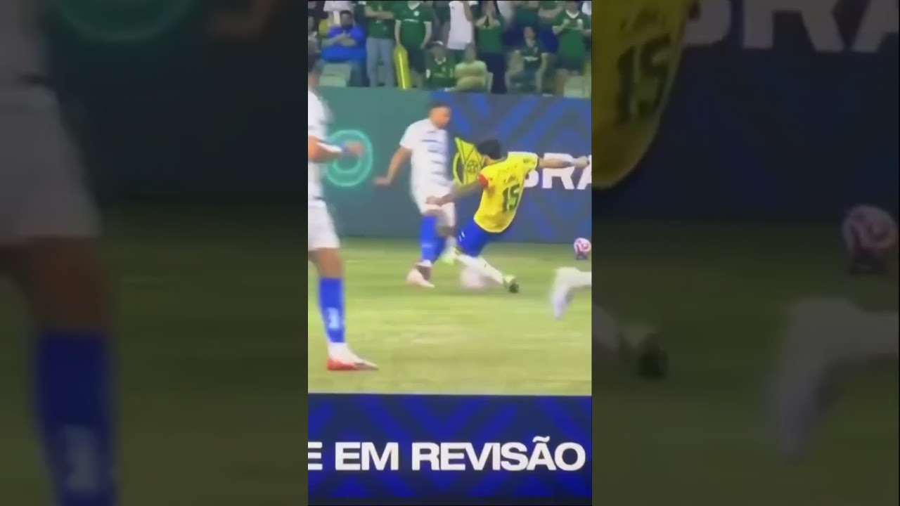 Garfaram o Cruzeiro no Allianz CRUZEIRO X PALMEIRAS 