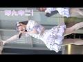 なんキニ!『初恋花火』/歌舞伎町タワーステージ【2026.05.10】4K