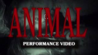 FULL CIRCLE BOYS - ANIMAL (Official Visualizer)
