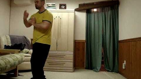 Jiang Rong Qiao Baguazhang - First 3 Palm Changes