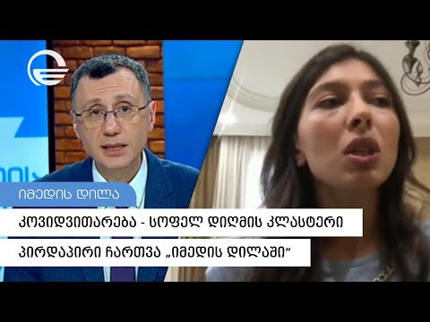 კოვიდვითარება -  სოფელ დიღმის კლასტერი