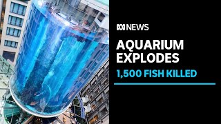 Giant aquarium bursts in Germany killing 1,500 tropical fish | ABC News