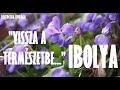 Vissza a természetbe - IBOLYA