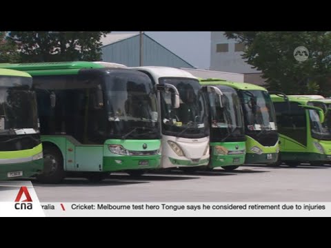 School bus operators grapple with up to 30% drop in demand amid rising costs