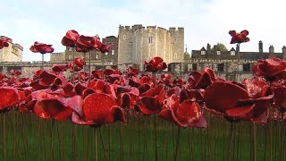 British use poppies to commemorate WWI