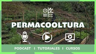 Permacultura - Introducción - Bosque integra - Podcast - Cursos by Permacooltura 507 views 2 years ago 1 minute, 19 seconds