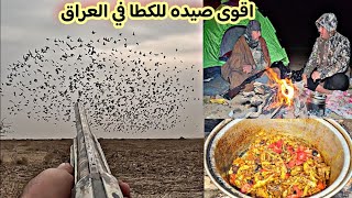 اقوى صيده  لطائر  الكطا بالموسم اعداد خيالية بالملايين +التخيم في الجزيرة ..Wild bird hunting