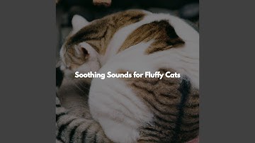 Understated Ambience for Open Work Space