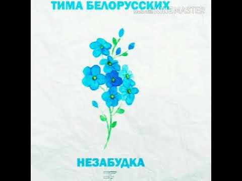 незабудка текст. незабудка песня. тима белорусских незабудка цветок. тима белорусских незабудка цветок. тима белорусских незабудка.