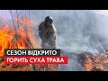 Щовесни Україна – у вогні! Чому суху траву не варто палити та Як це впливає на природу