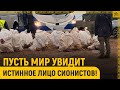 Пусть мир увидит истинное лицо сионистов!