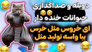 دادگاه خانواده ?دوبله و صداگذاری حیوانات خنده دار ?