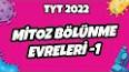 Biyoloji - Üreme ve  Çeşitleri Nedir? Nelerdir ? Ders Notu ve Konu Anlatımı ile ilgili video